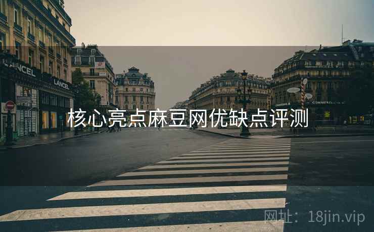 核心亮点麻豆网优缺点评测