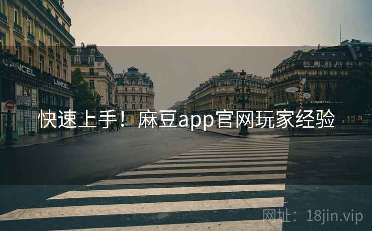 快速上手！麻豆app官网玩家经验