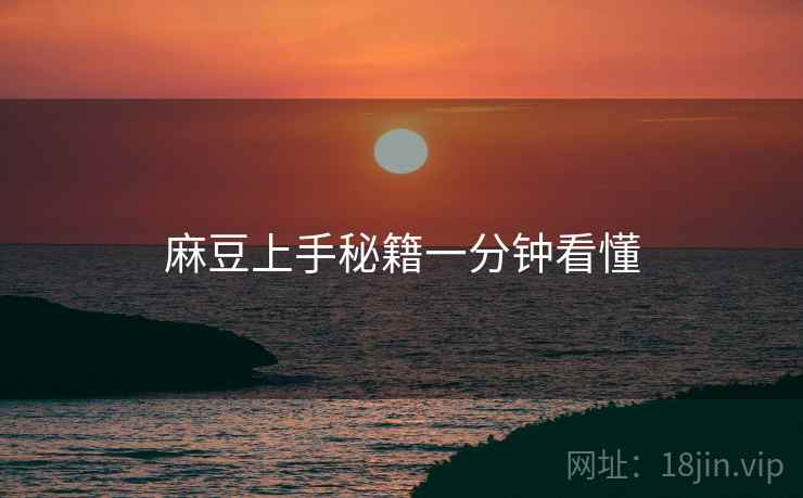 麻豆上手秘籍一分钟看懂