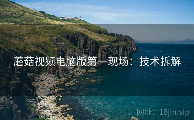 蘑菇视频电脑版第一现场：技术拆解