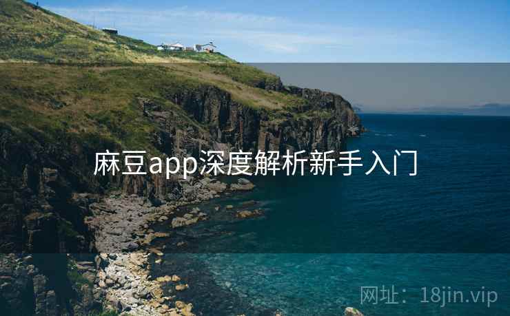 麻豆app深度解析新手入门