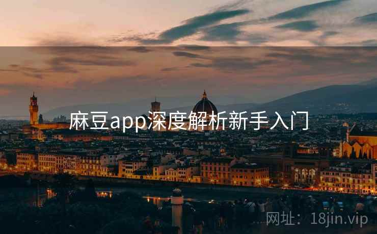 麻豆app深度解析新手入门